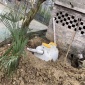 雙翁化糞池_三格化糞池_云南昆明新型化糞池_公共廁所玻璃鋼化糞池