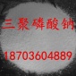 三聚磷酸鈉 白色粉末